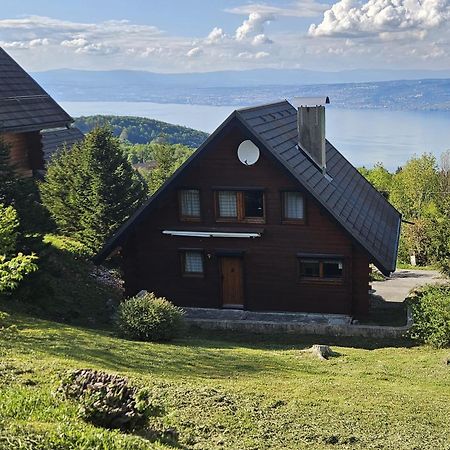 Chalet Les Alpages Vue Panoramique Sur Le Lac Leman Thollon-les-Memises Εξωτερικό φωτογραφία